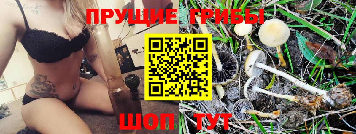 Псилоцибиновые грибы Magic Shrooms Кириши