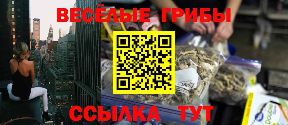 Кириши  Псилоцибиновые грибы прущие грибы  Вход с VPN  Псилоцибиновые грибы Psilocybine cubensis 