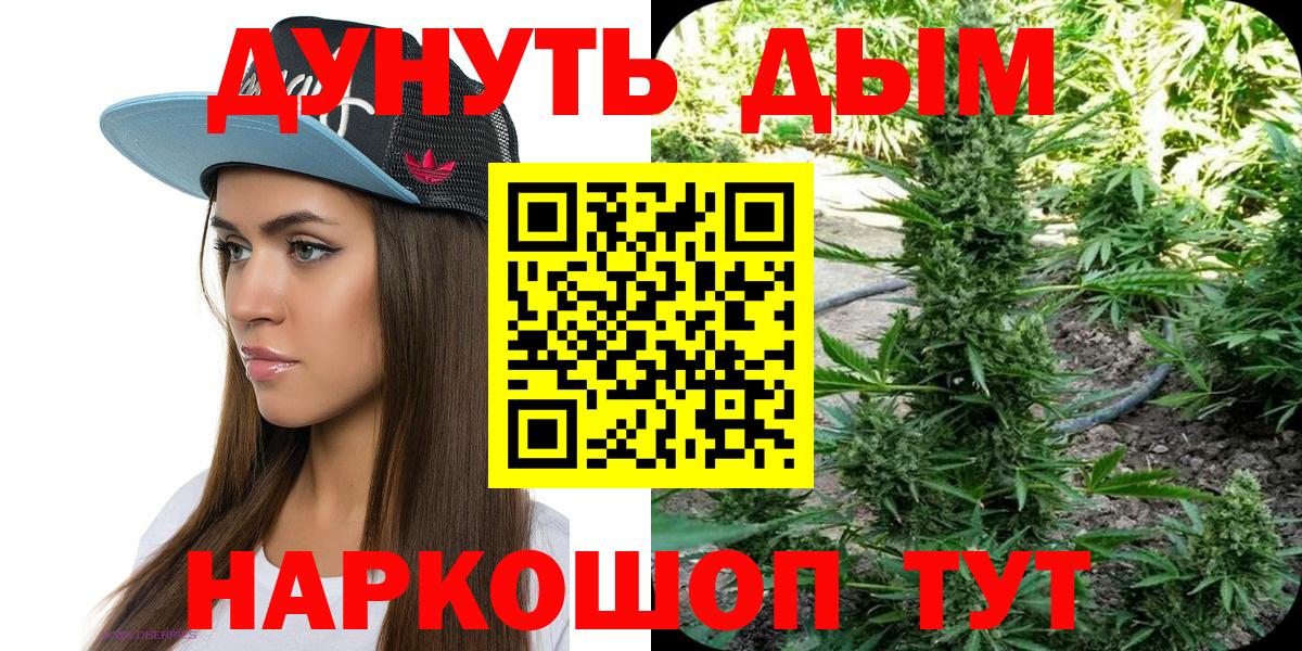 Кириши  Каннабис SATIVA & INDICA  Вход с VPN  Марихуана конопля  Марихуана гибрид 